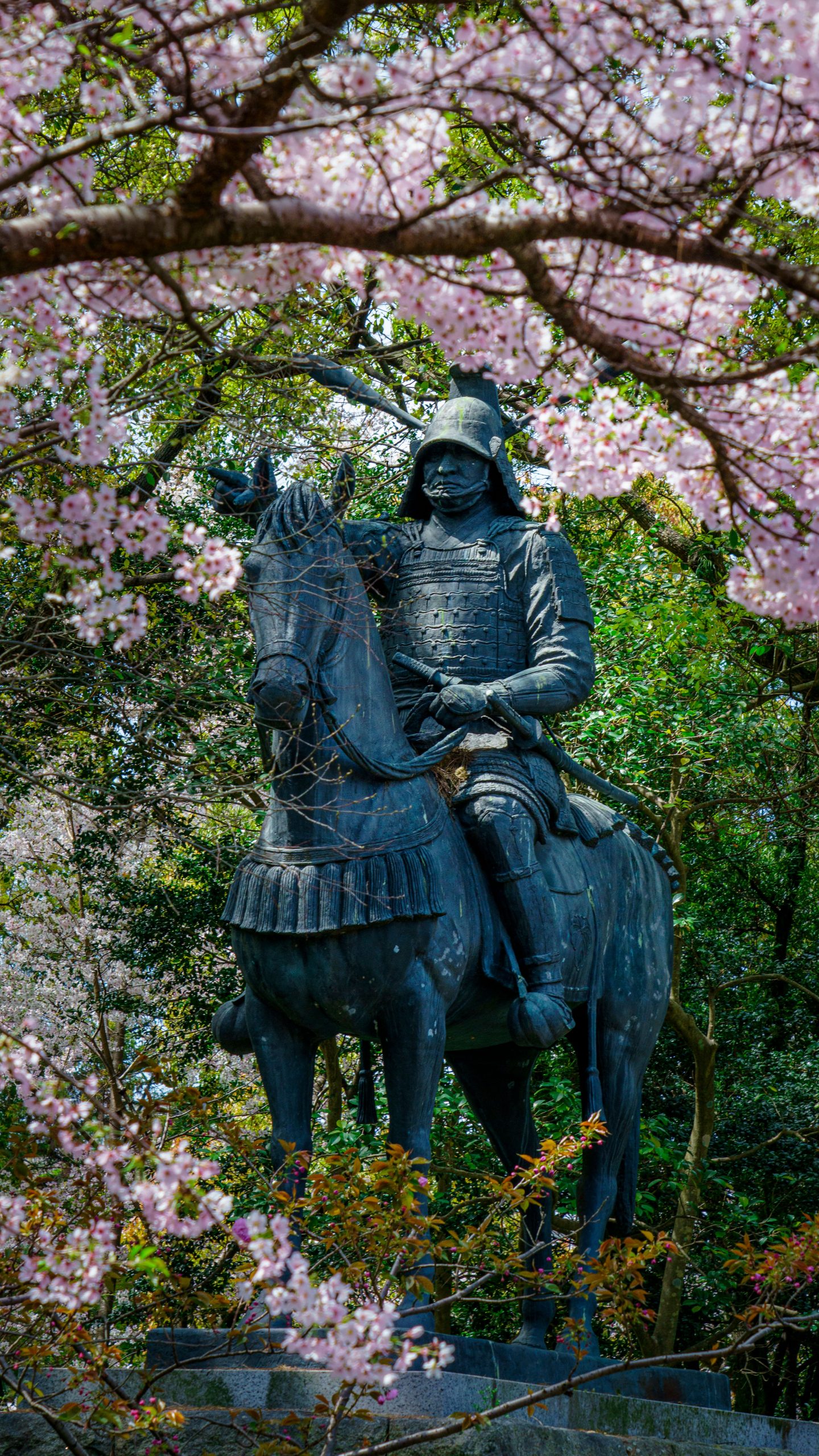 無料スマホ壁紙 桜と藤堂高虎像。AndroidとiPhoneに対応した4K高画質の無料待ち受け画像。三重県津市の津城（お城公園）で撮影したフリー写真素材