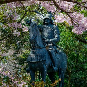 津城（お城公園）の写真「桜と藤堂高虎像」