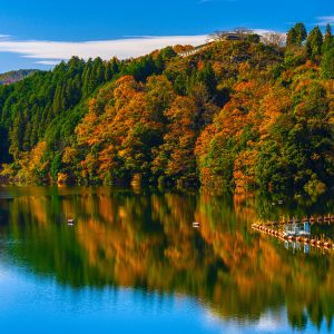 青蓮寺湖の写真「紅葉リフレクション」