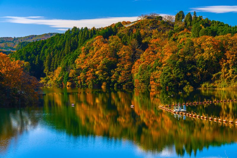 青蓮寺湖の写真「紅葉リフレクション」