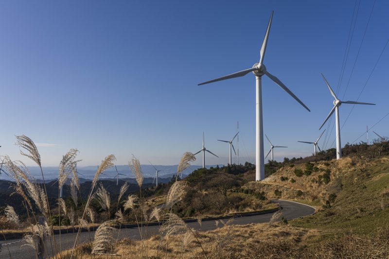 青山高原の写真「ススキと風車」