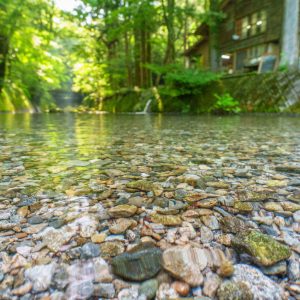 大吉あまごセンターの写真「透明度が抜群！夏の坂本川」