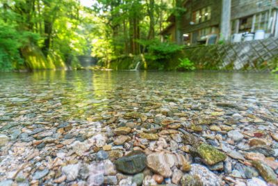 大吉あまごセンターの写真「透明度が抜群！夏の坂本川」
