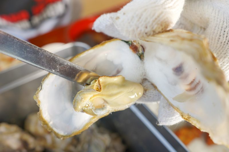 鳥羽浦村の牡蠣の写真「焼き牡蠣を身から取る」
