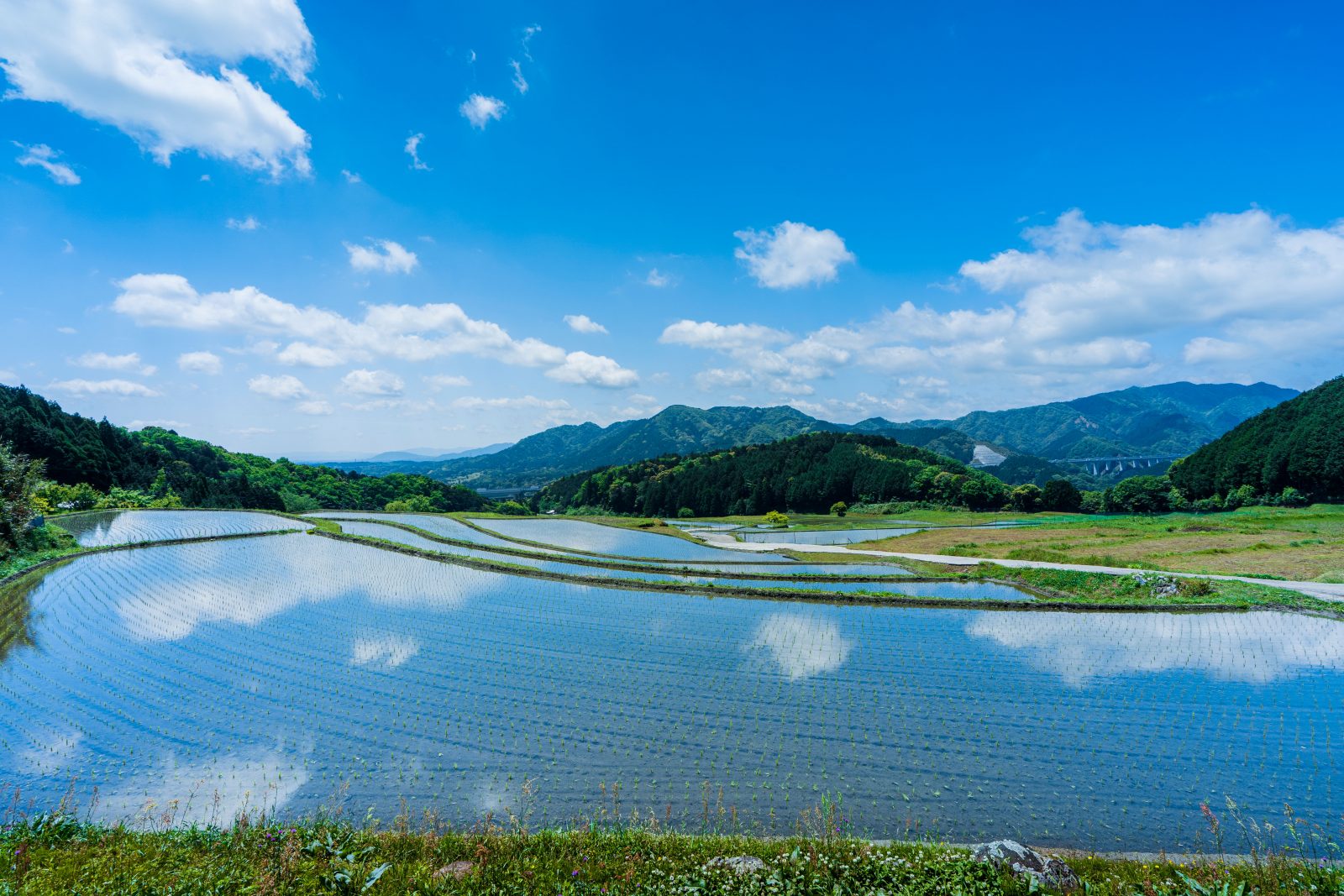 坂本の棚田の写真「青空リフレクション」