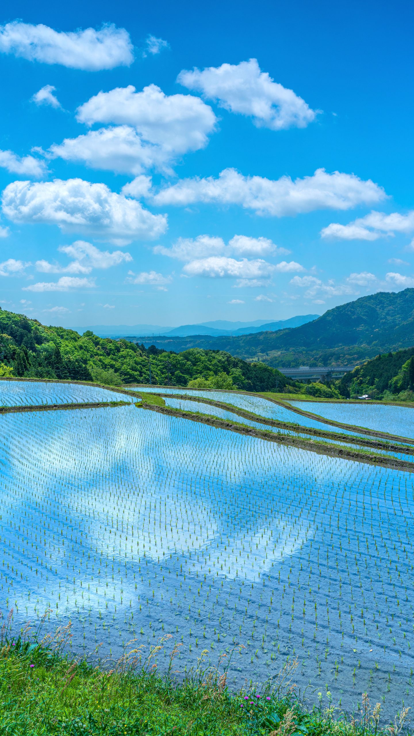 無料スマホ壁紙 空が反射する棚田。AndroidとiPhoneに対応した4K高画質の無料待ち受け画像。三重県亀山市の坂本の棚田で撮影したフリー写真素材