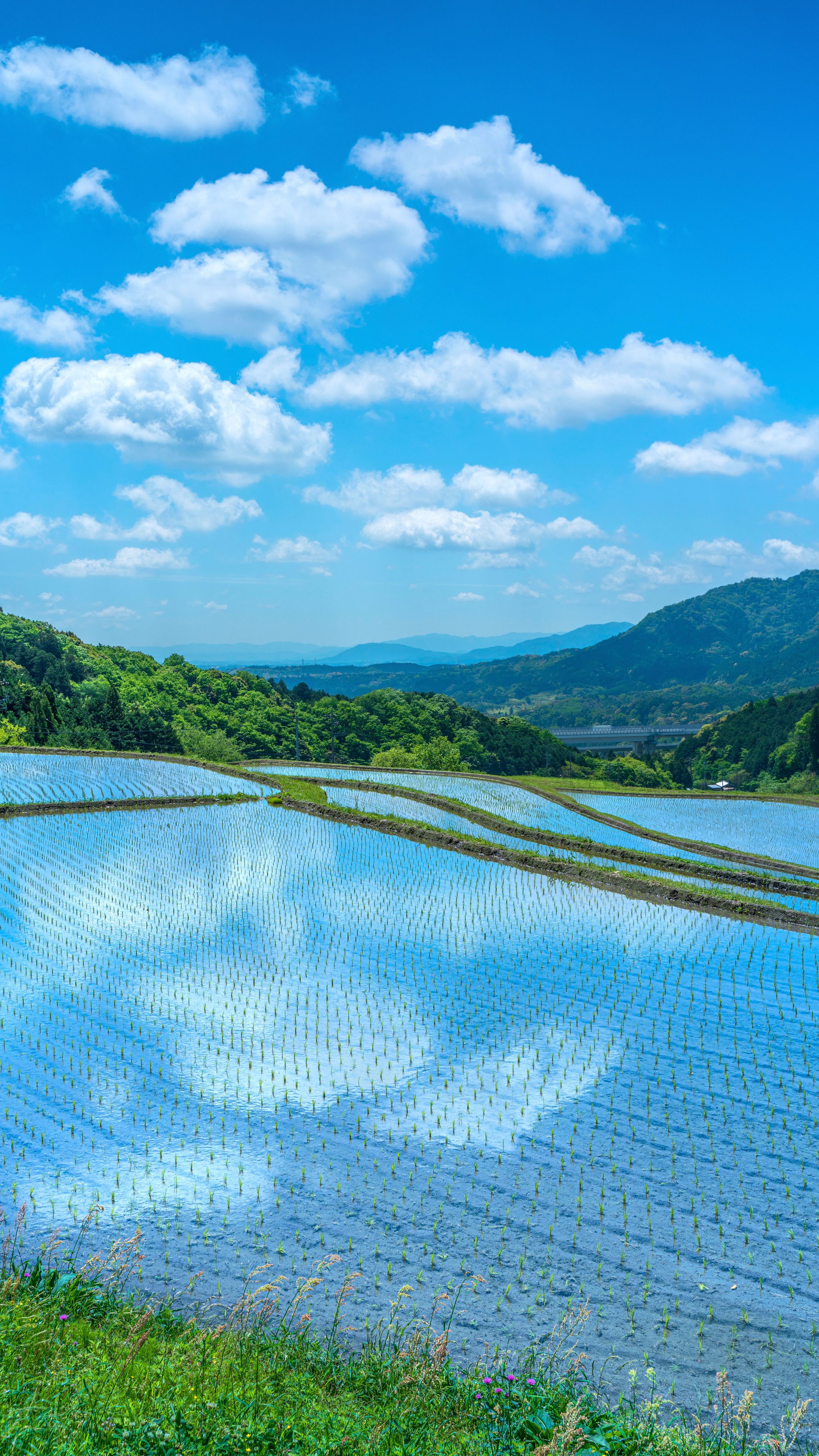 無料スマホ壁紙 空が反射する棚田。AndroidとiPhoneに対応した4K高画質の無料待ち受け画像。三重県亀山市の坂本の棚田で撮影したフリー写真素材
