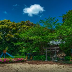 坂本農村公園