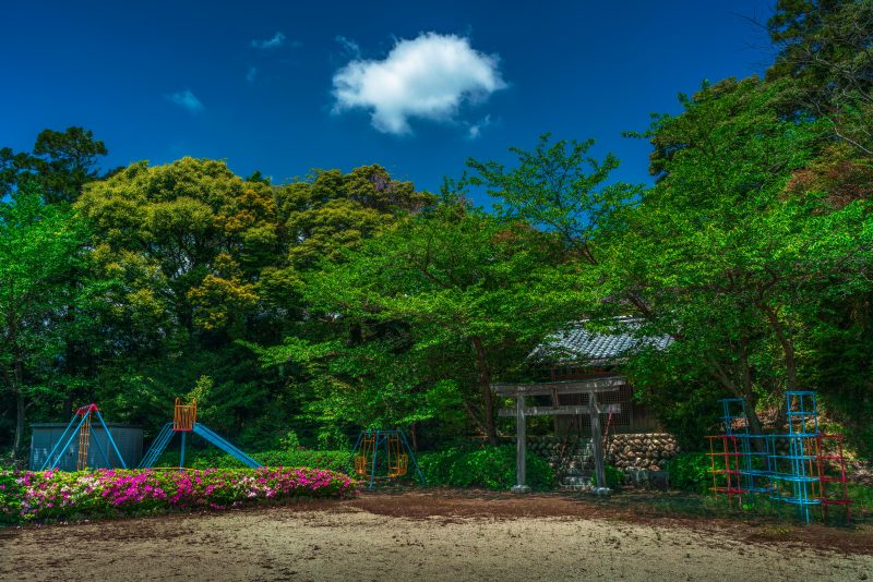 坂本の棚田の写真「坂本農村公園」