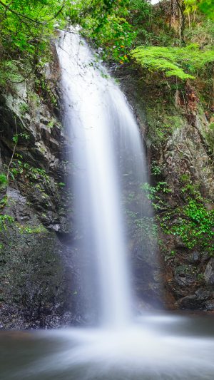 水量が多いときの様子