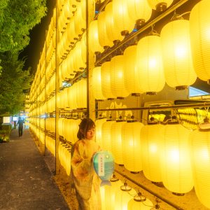 無料スマホ壁紙「お魚の青い提灯を持つ浴衣の女性」