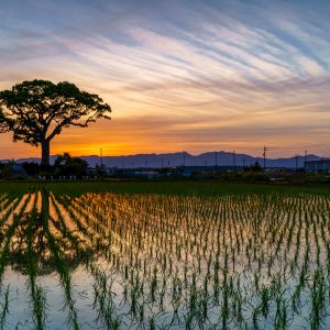 青とオレンジの空