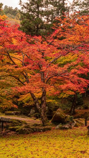 紅葉の庭園