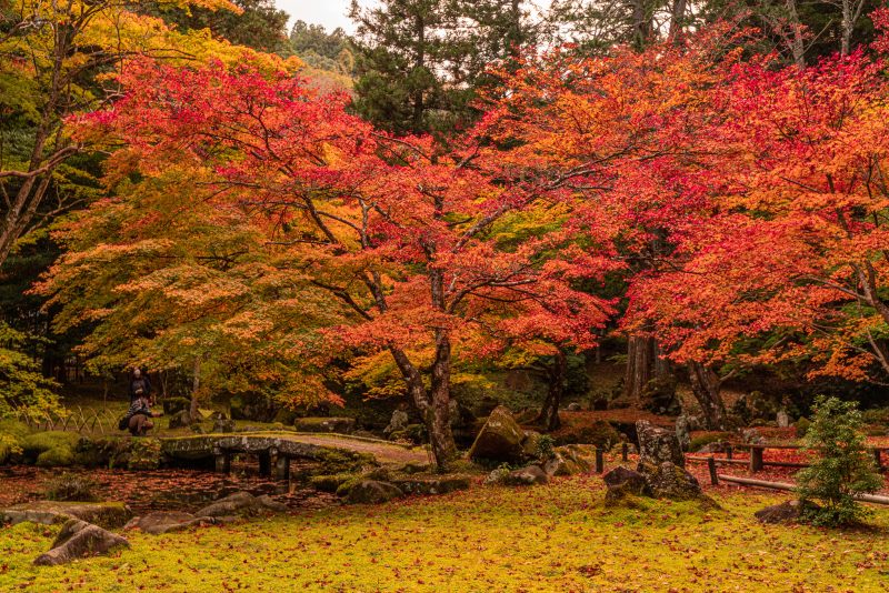 北畠神社の写真「紅葉の庭園」