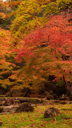 秋色の庭園