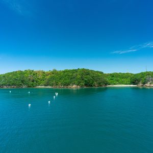 船から眺める英虞湾の島々