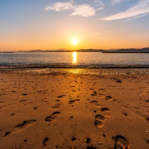 夏草や兵どもが夢の跡