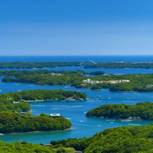 横山展望台の写真「初夏の英虞湾」