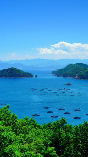 無料スマホ壁紙「青々とした錦湾」