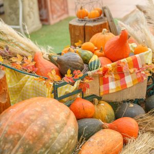 松阪農業公園ベルファームの写真「秋を感じるハロウィン光景」