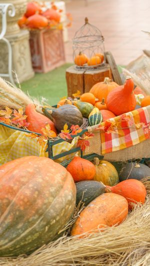 無料スマホ壁紙「秋を感じるハロウィン光景」