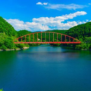 青蓮寺湖の写真「赤い橋と新緑」