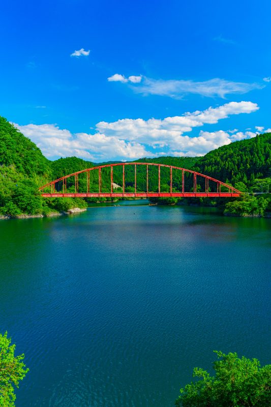 青蓮寺湖の写真「赤い橋と新緑」