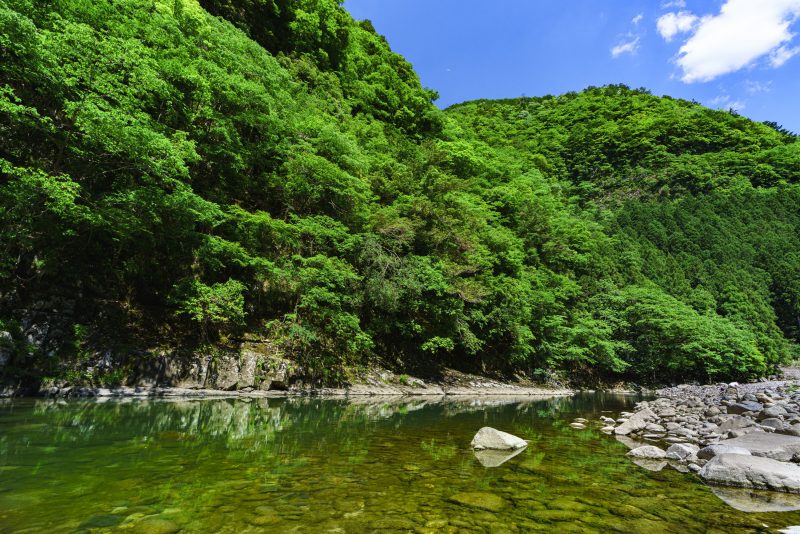 香落渓の写真「新緑の青蓮寺川」
