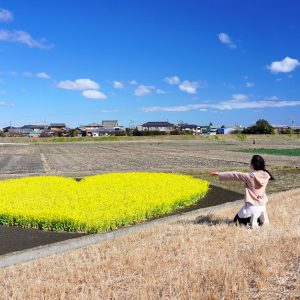 ハートの菜の花畑に近づく