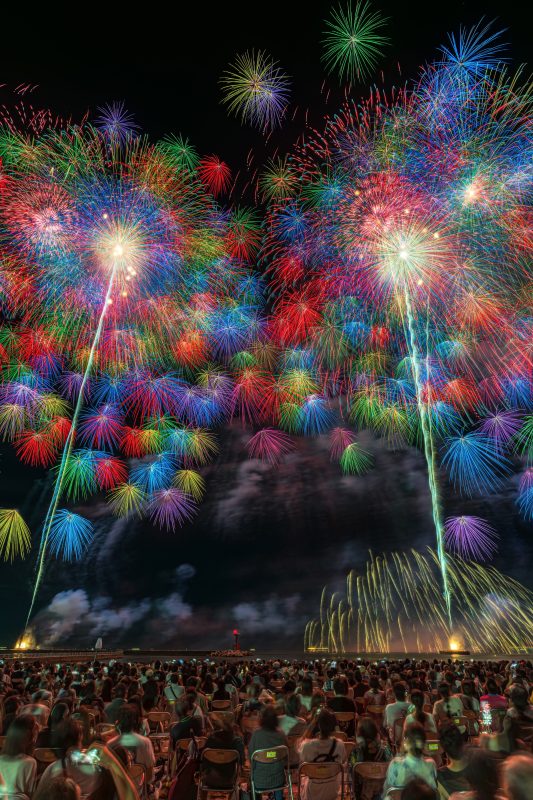 2025年の彩色千輪菊（縦）