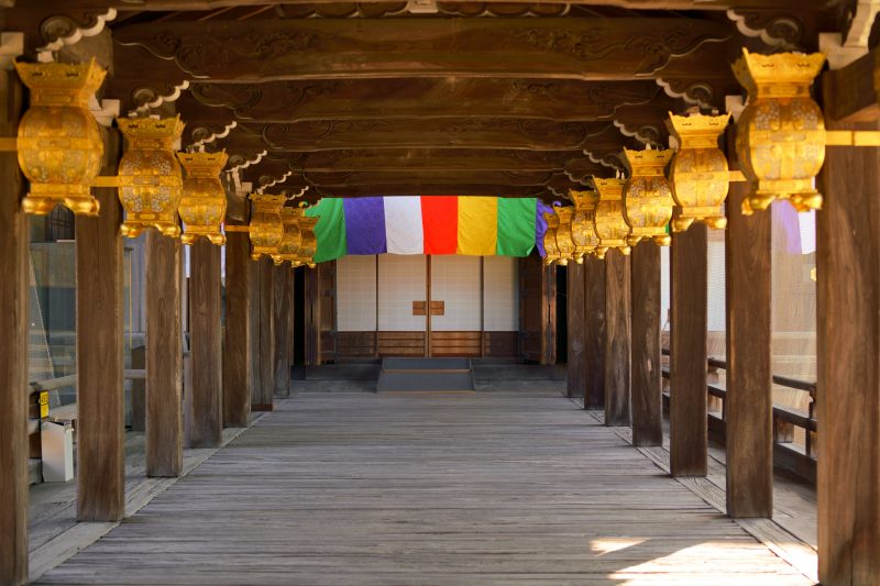 高田本山専修寺の写真「通天橋（お七夜 ver）」