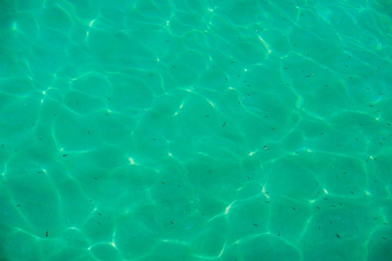 大泊海水浴場の写真「海底丸見え」