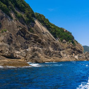 熊野灘の波と鬼ヶ城