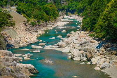 宮川の写真「鮎釣りの光景」
