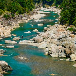 宮川で鮎釣り