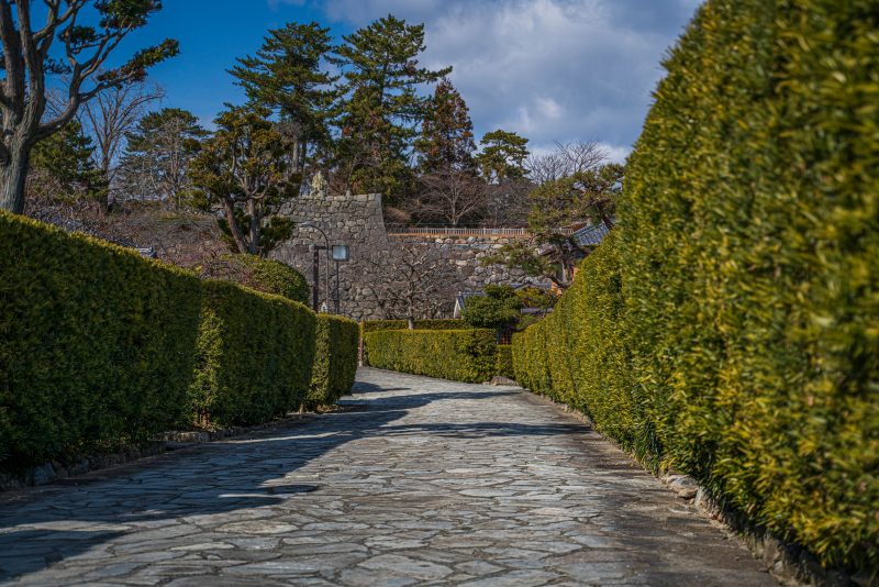 御城番屋敷の写真「松坂城の石垣と石畳」