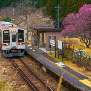 冬の比津駅