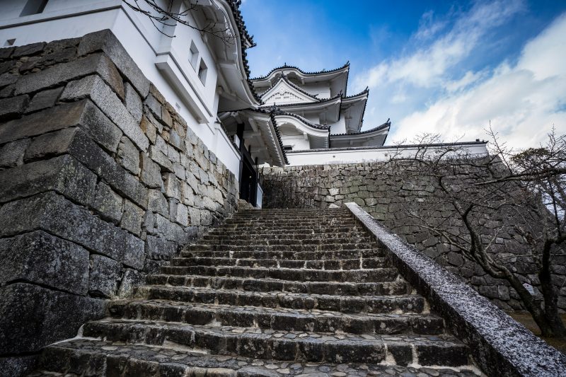 伊賀上野城の写真「伊賀上野城の階段を登る」