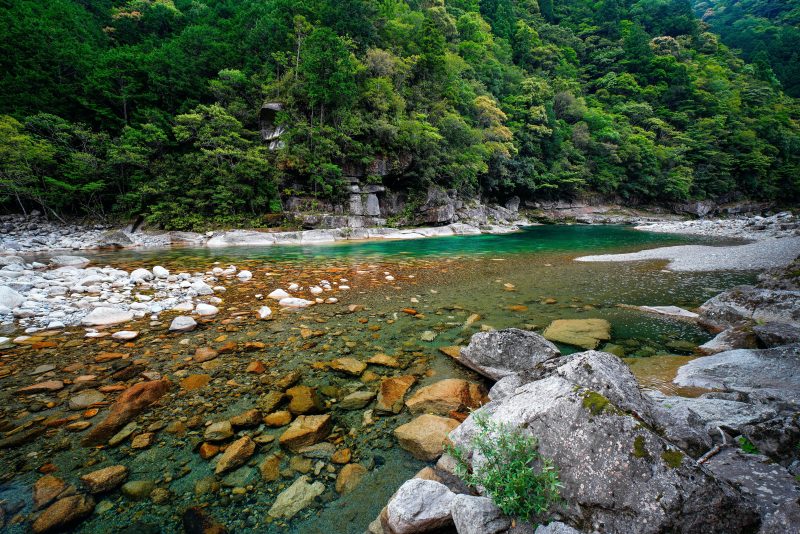 銚子川の写真「魚飛渓の入り口」