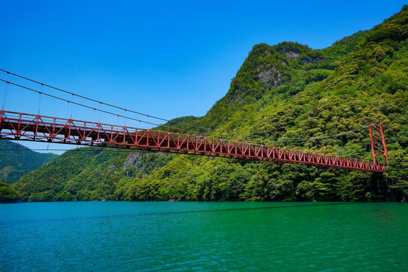 宮川ダム湖観光船の写真「新大杉谷橋と新緑」