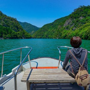 宮川ダム湖観光船の写真「大杉谷渓谷を船から眺める」