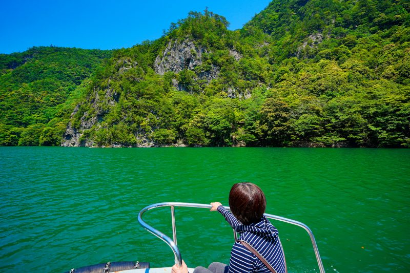 宮川ダム湖観光船の写真「大杉谷渓谷の新緑を眺める」