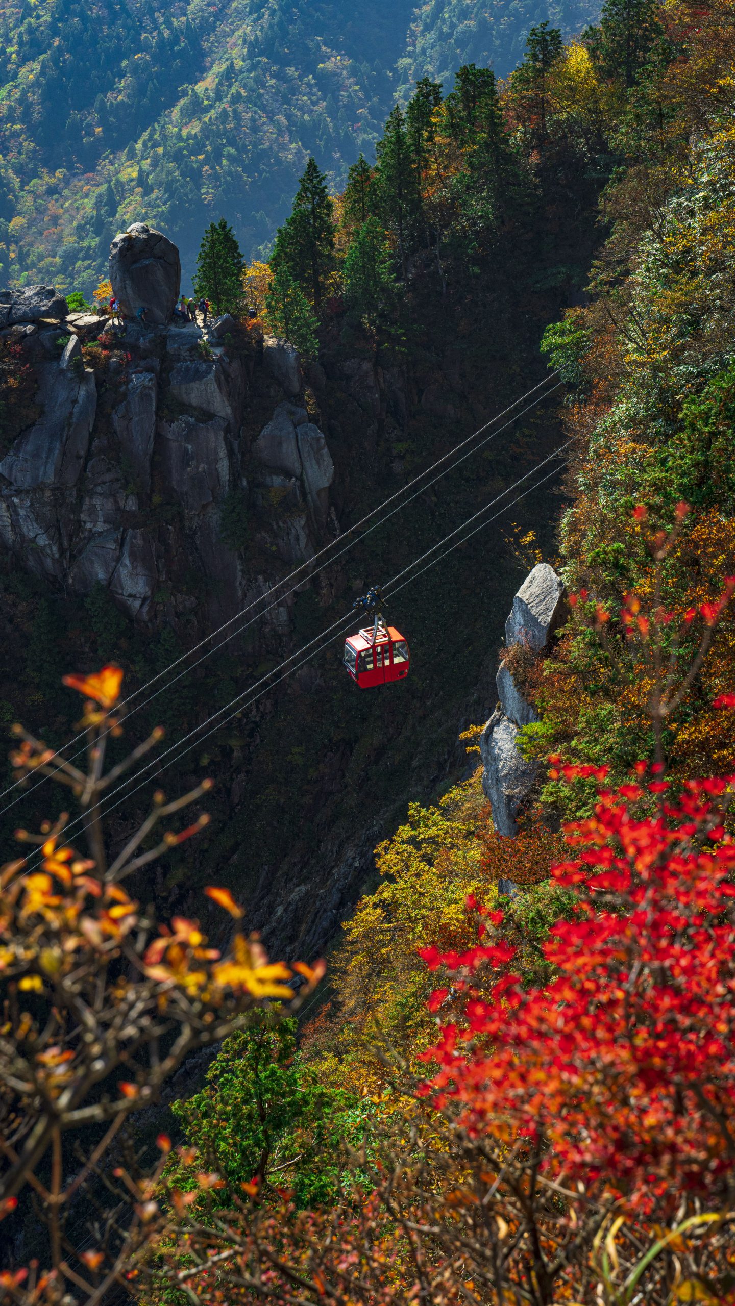 無料スマホ壁紙 富士見岩展望台から眺める秋景色。AndroidとiPhoneに対応した4K高画質の無料待ち受け画像。三重県菰野町の御在所ロープウエイで撮影したフリー写真素材
