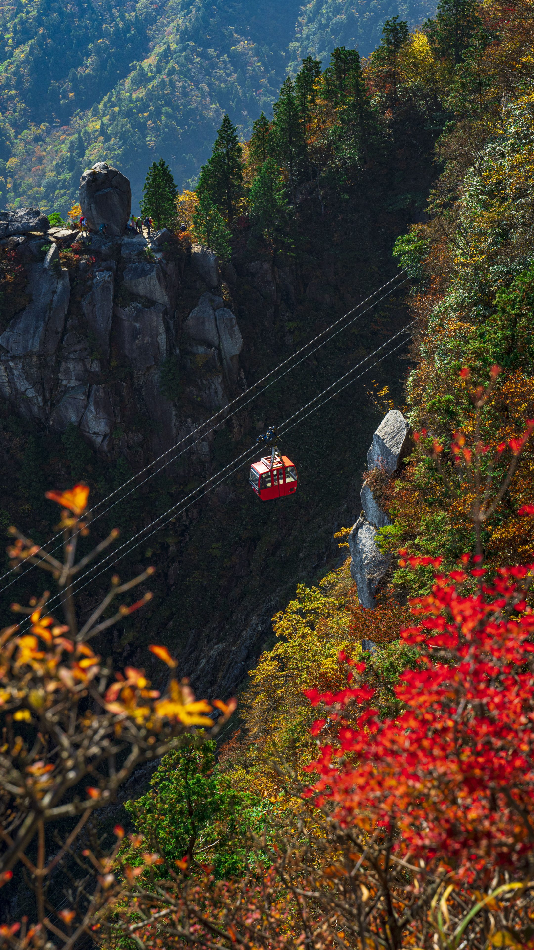 無料スマホ壁紙 富士見岩展望台から眺める秋景色。AndroidとiPhoneに対応した4K高画質の無料待ち受け画像。三重県菰野町の御在所ロープウエイで撮影したフリー写真素材