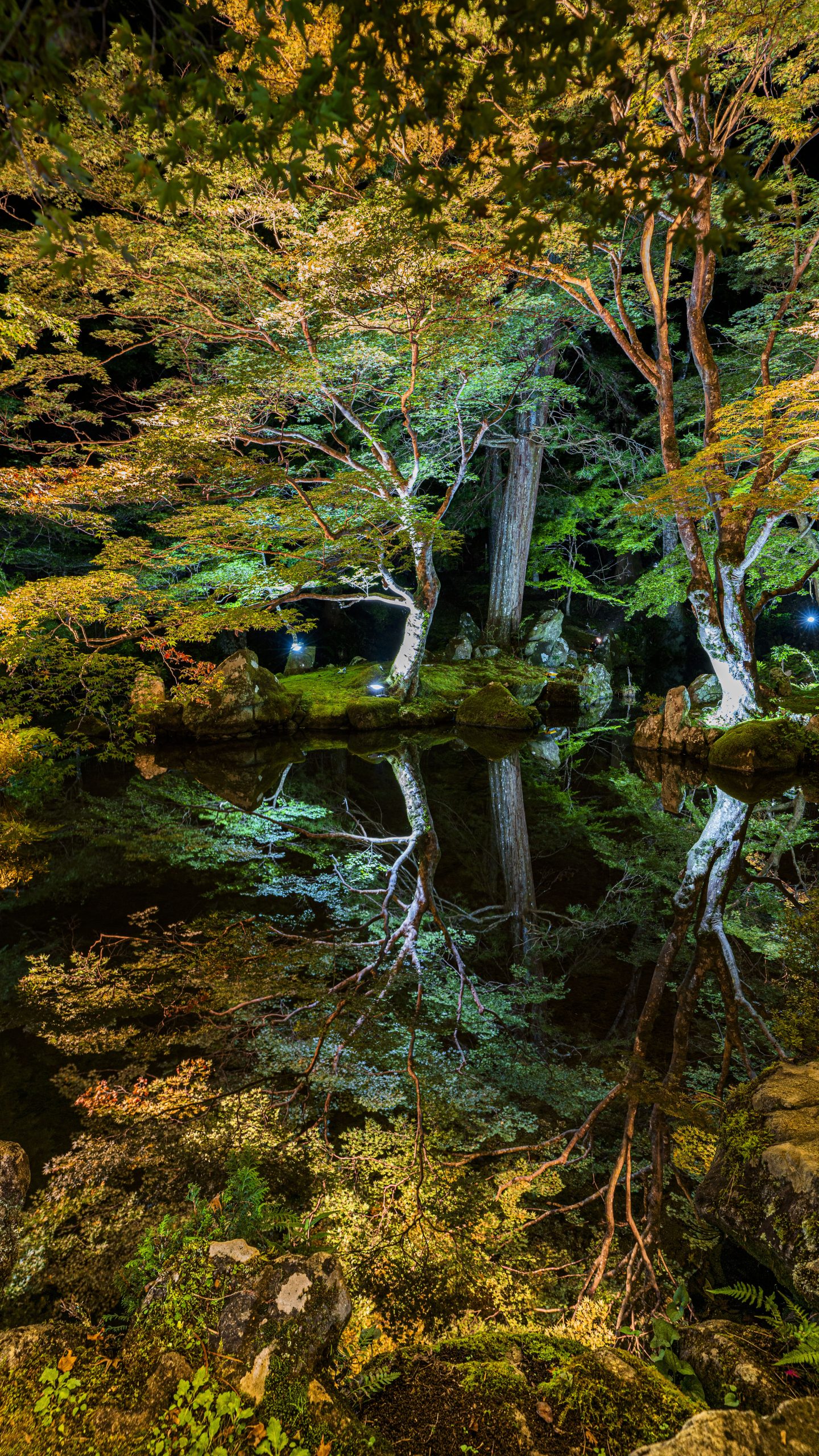 無料スマホ壁紙 紅葉リフレクション。AndroidとiPhoneに対応した4K高画質の無料待ち受け画像。三重県津市の北畠神社で撮影したフリー写真素材