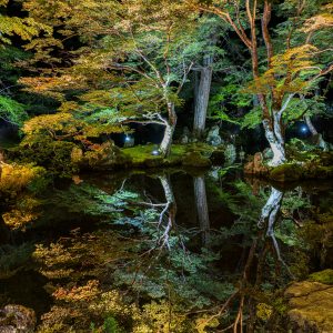 北畠神社の写真「紅葉リフレクション」