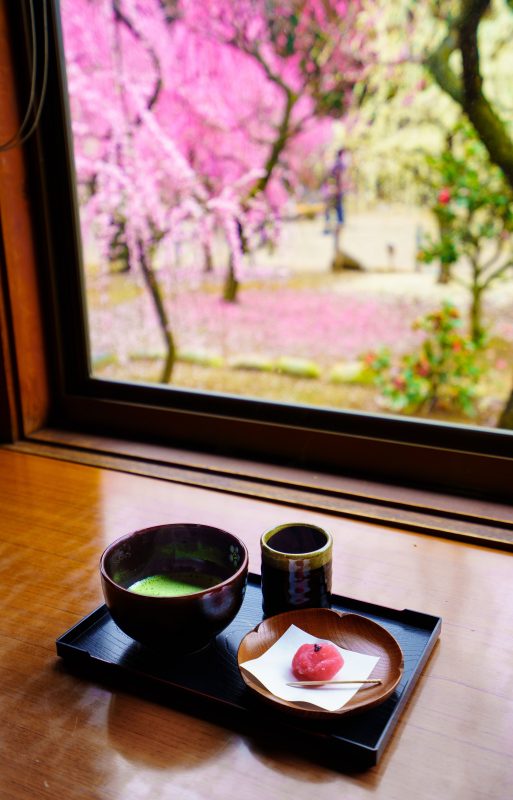 結城神社の梅苑の写真「眺梅亭からの眺め」