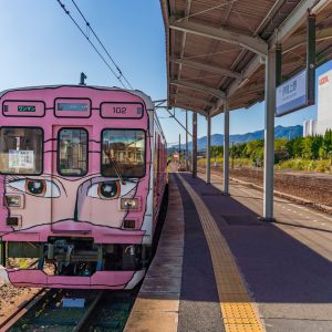 伊賀鉄道の写真「ピンクの忍者列車」