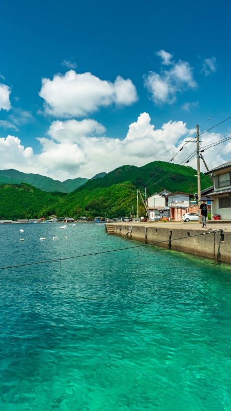 蒼く輝く海