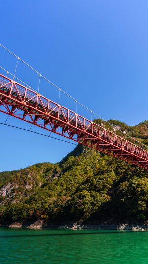 新大杉谷橋と紅葉